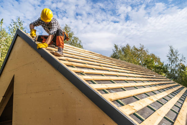 Best Storm Damage Roof Repair  in Douglas, AZ
